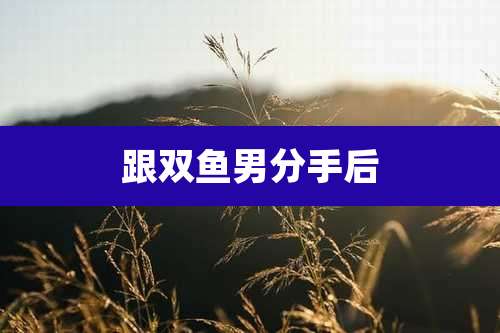 跟双鱼男分手后