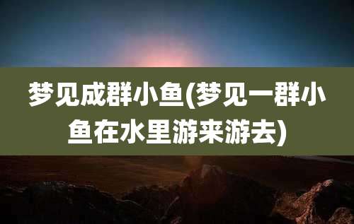 梦见成群小鱼(梦见一群小鱼在水里游来游去)