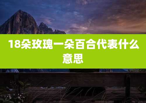 18朵玫瑰一朵百合代表什么意思