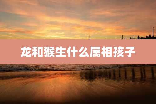 龙和猴生什么属相孩子