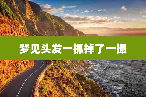 梦见头发一抓掉了一撮