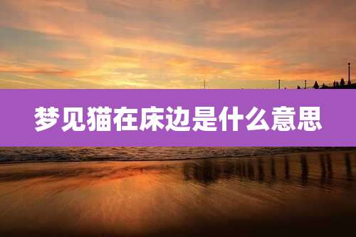 梦见猫在床边是什么意思