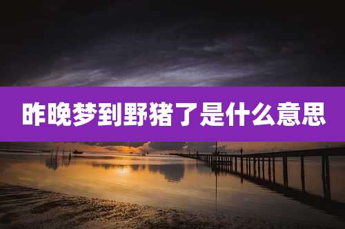 昨晚梦到野猪了是什么意思