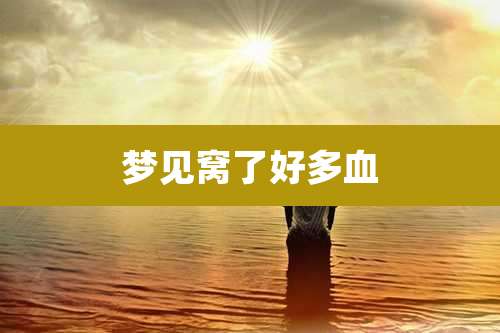 梦见窝了好多血