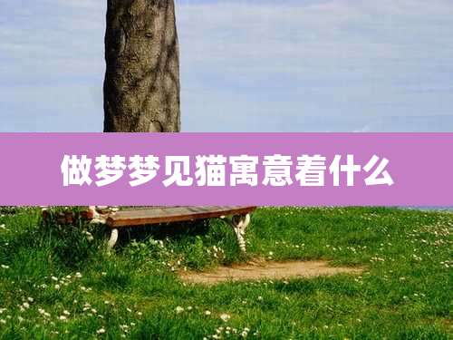 做梦梦见猫寓意着什么