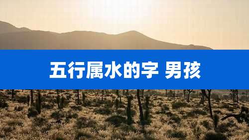五行属水的字 男孩