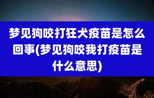 梦见狗咬打狂犬疫苗是怎么回事(梦见狗咬我打疫苗是什么意思)