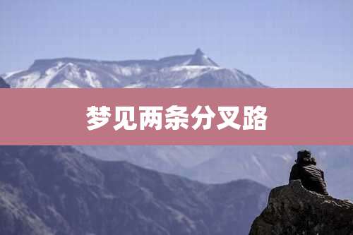 梦见两条分叉路