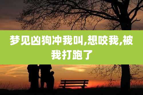 梦见凶狗冲我叫,想咬我,被我打跑了