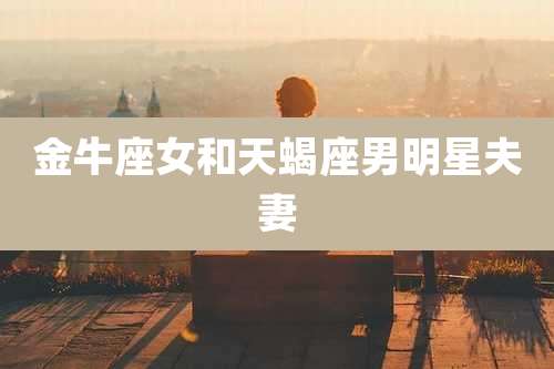 金牛座女和天蝎座男明星夫妻