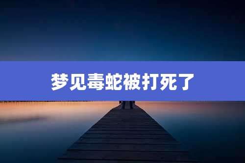梦见毒蛇被打死了
