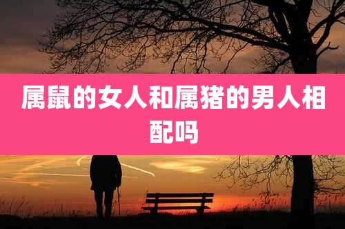 属鼠的女人和属猪的男人相配吗
