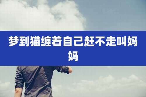 梦到猫缠着自己赶不走叫妈妈