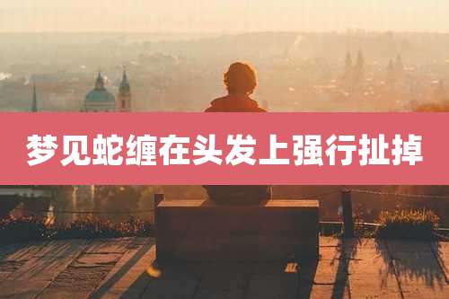 梦见蛇缠在头发上强行扯掉