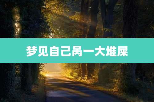 梦见自己呙一大堆屎