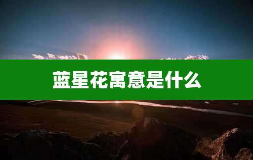 蓝星花寓意是什么