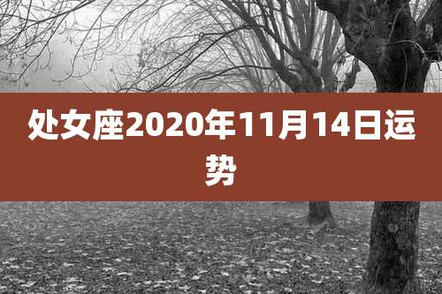 处女座2020年11月14日运势