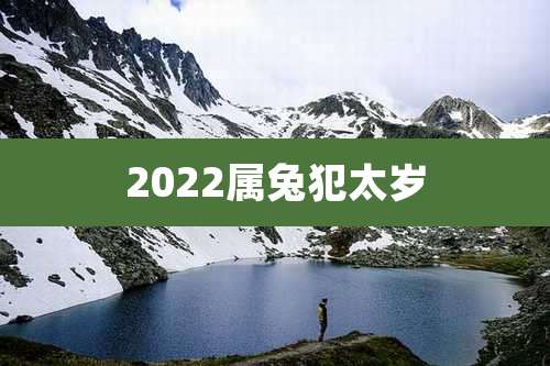 2022属兔犯太岁