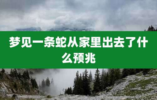 梦见一条蛇从家里出去了什么预兆