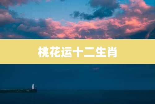 桃花运十二生肖