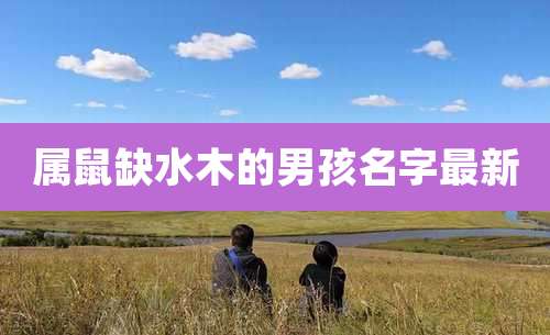 属鼠缺水木的男孩名字最新