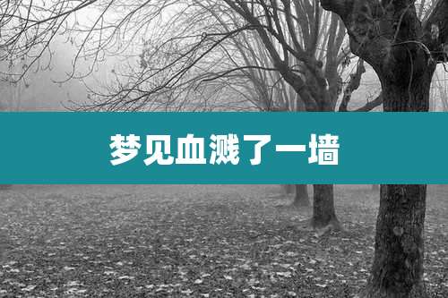 梦见血溅了一墙