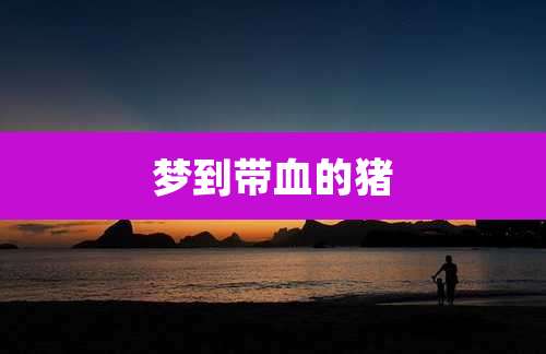 梦到带血的猪