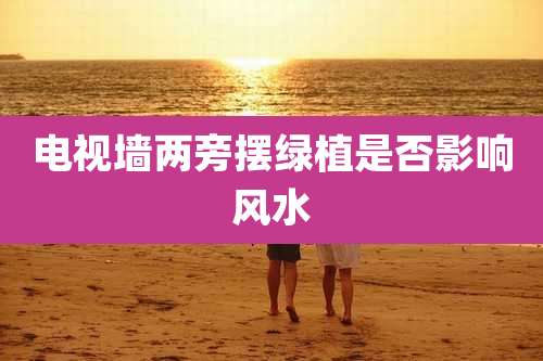 电视墙两旁摆绿植是否影响风水