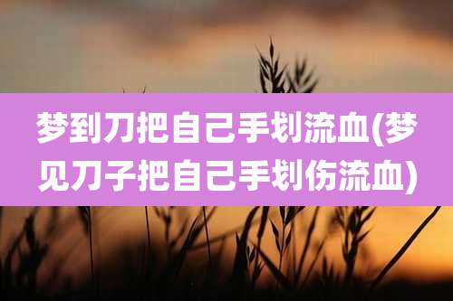 梦到刀把自己手划流血(梦见刀子把自己手划伤流血)