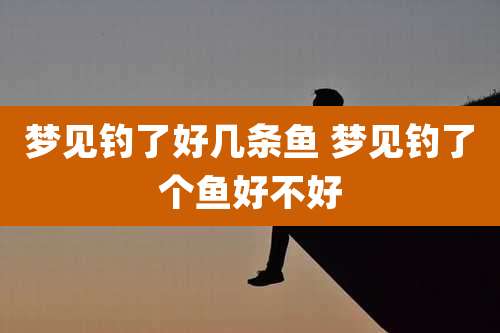 梦见钓了好几条鱼 梦见钓了个鱼好不好