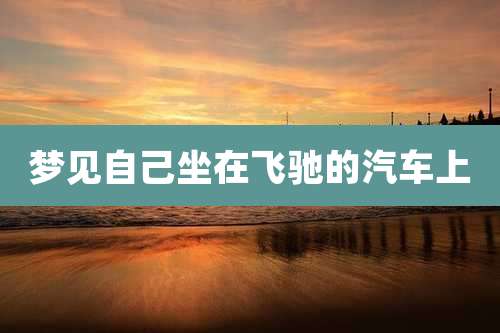 梦见自己坐在飞驰的汽车上