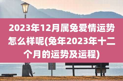 2023年12月属兔爱情运势怎么样呢(兔年2023年十二个月的运势及运程)