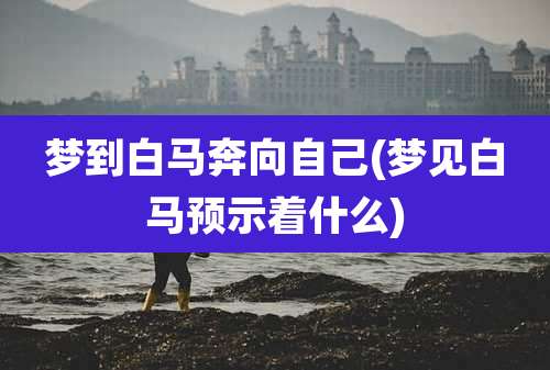 梦到白马奔向自己(梦见白马预示着什么)