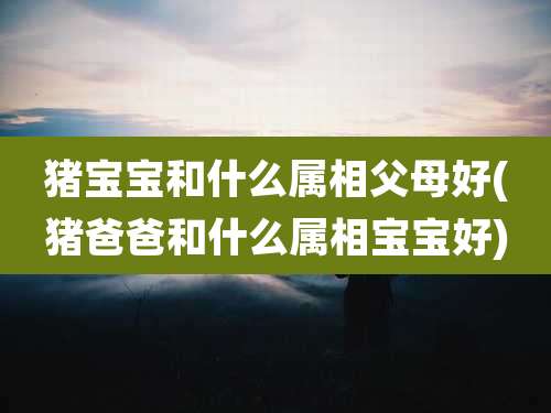 猪宝宝和什么属相父母好(猪爸爸和什么属相宝宝好)