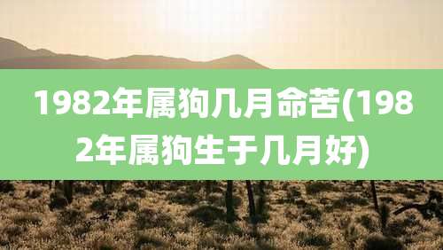 1982年属狗几月命苦(1982年属狗生于几月好)