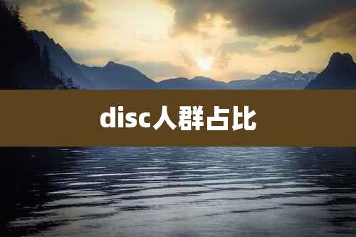 disc人群占比
