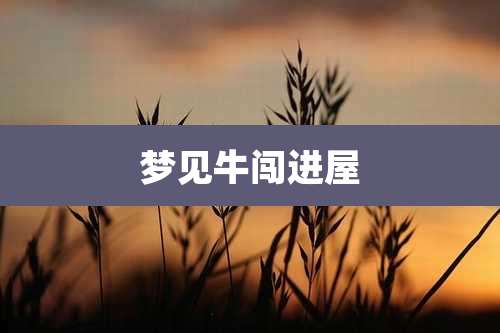 梦见牛闯进屋