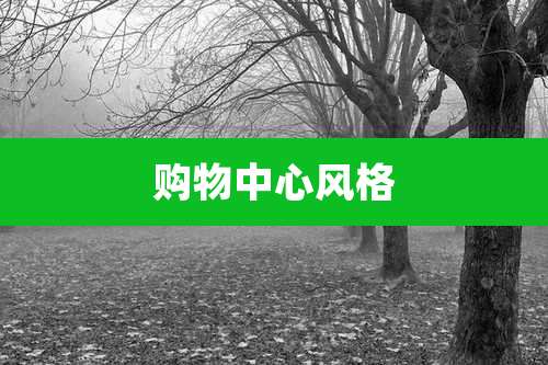 购物中心风格