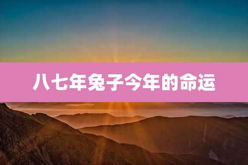 八七年兔子今年的命运