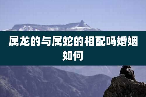 属龙的与属蛇的相配吗婚姻如何