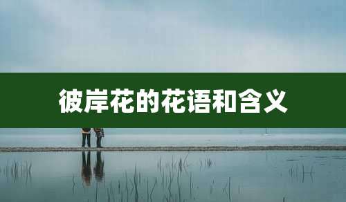 彼岸花的花语和含义