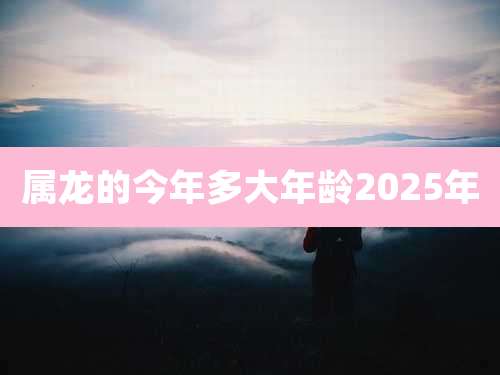 属龙的今年多大年龄2025年