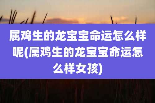 属鸡生的龙宝宝命运怎么样呢(属鸡生的龙宝宝命运怎么样女孩)