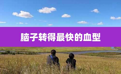 脑子转得最快的血型