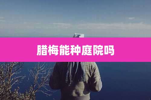 腊梅能种庭院吗