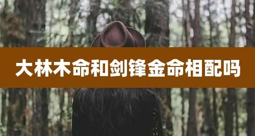 大林木命和剑锋金命相配吗