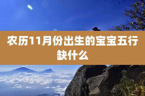 农历11月份出生的宝宝五行缺什么