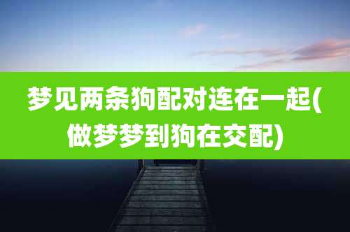 梦见两条狗配对连在一起(做梦梦到狗在交配)