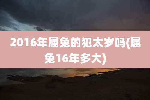 2016年属兔的犯太岁吗(属兔16年多大)