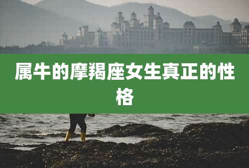 属牛的摩羯座女生真正的性格